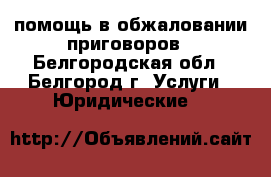помощь в обжаловании приговоров - Белгородская обл., Белгород г. Услуги » Юридические   